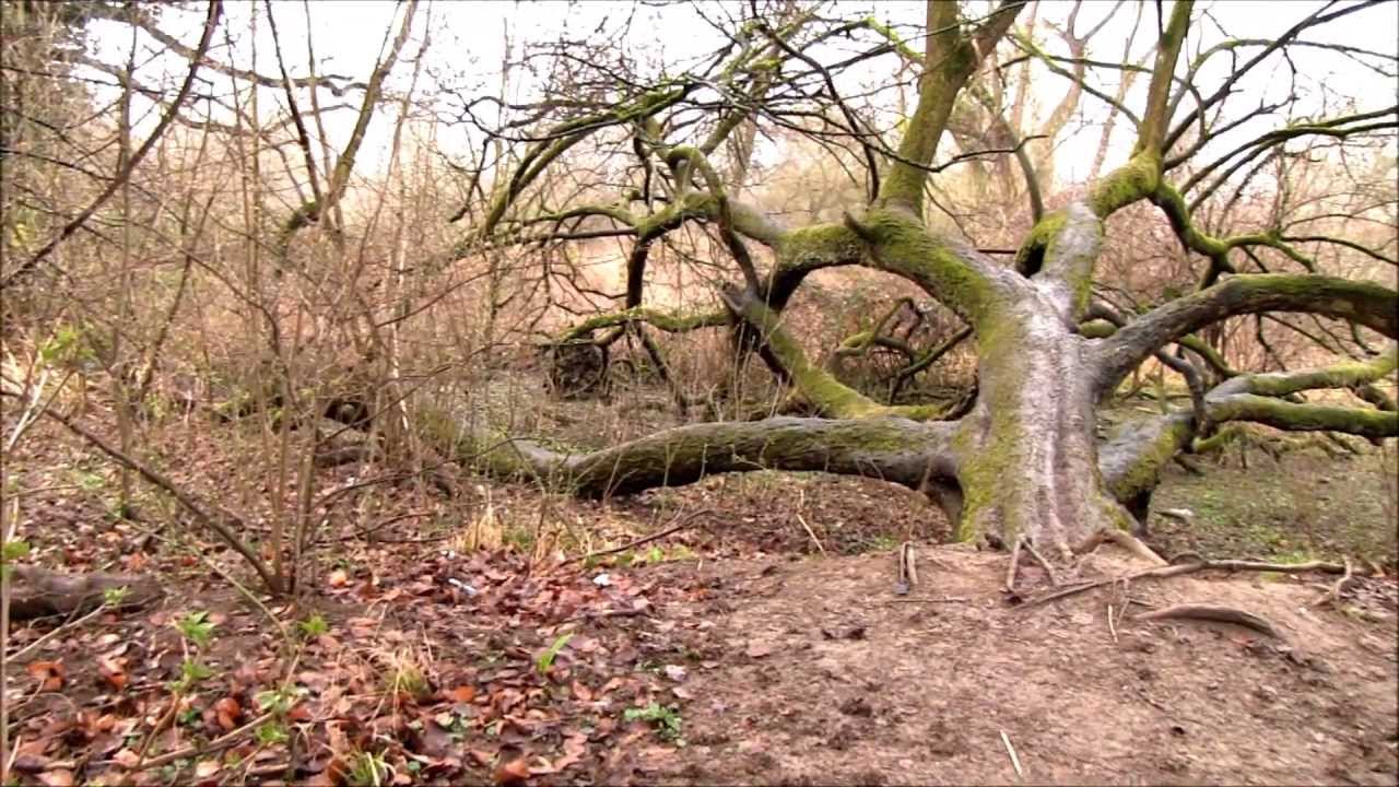 K&uuml;hkopf-Knoblochsaue  Doku Teil 2