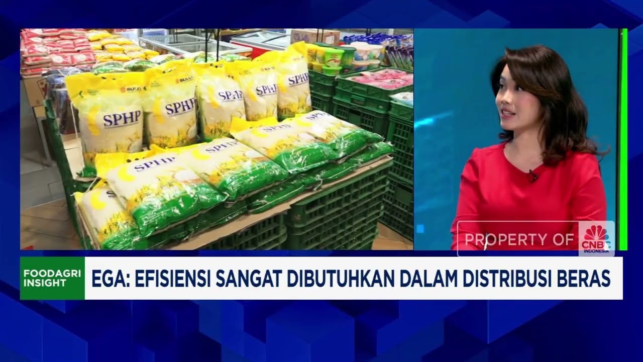 Warga RI Keluhkan Kualitas Beras SPHP Bulog, Apa Solusinya?