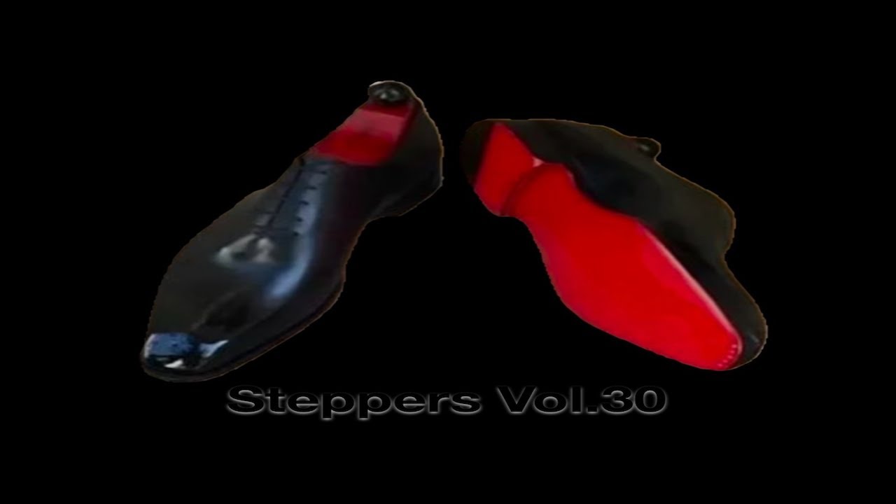 STEPPERS VOL.30
