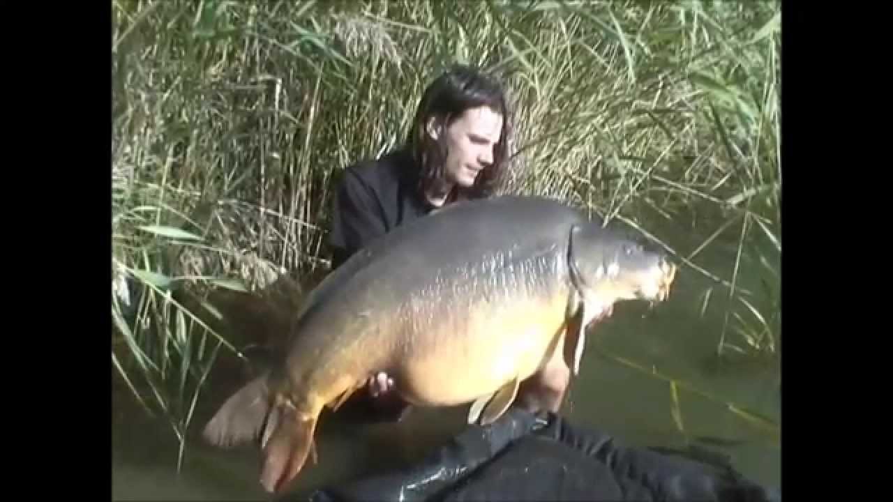 MONSTER CARP - Nautilus - Rapha&euml;l Biagini.