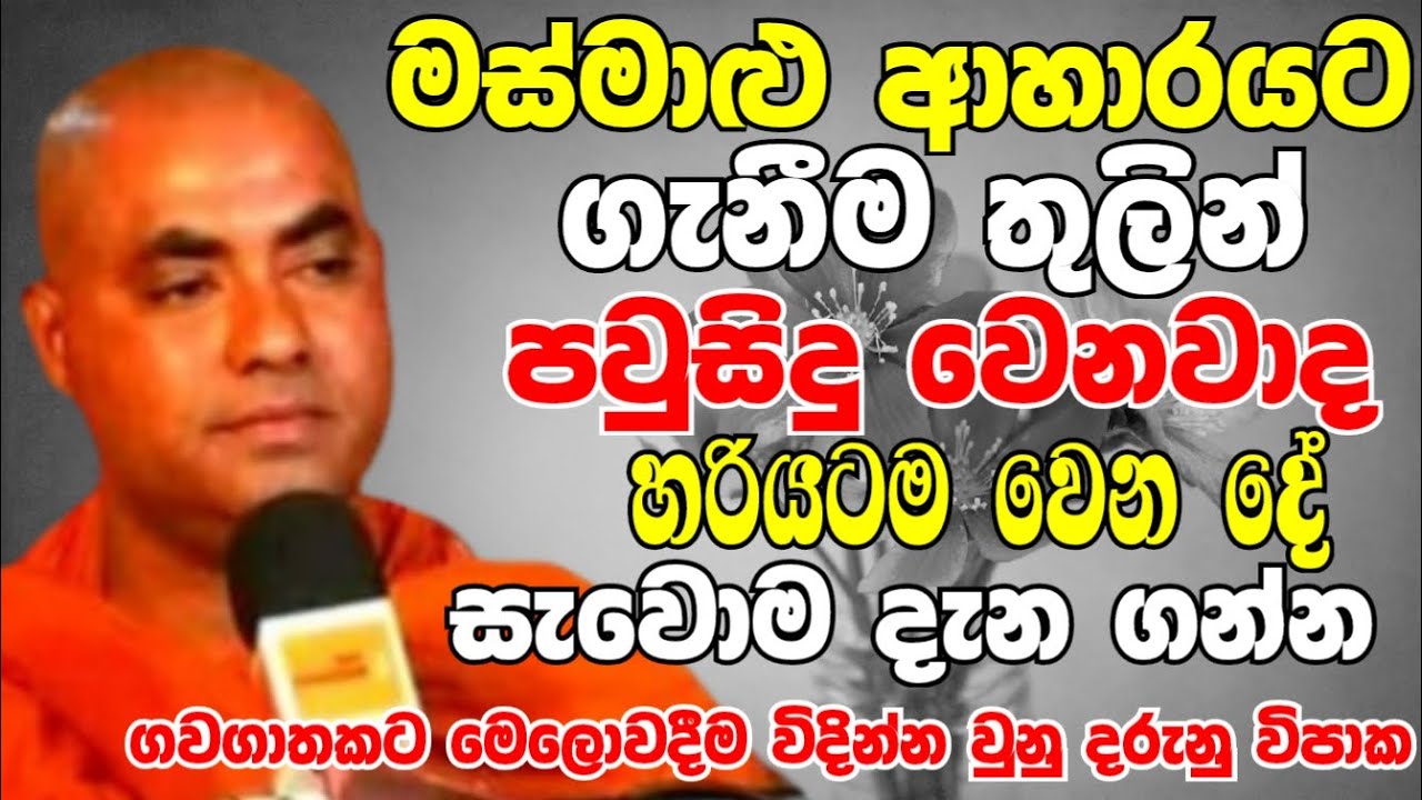 මස් මාළු ආහාරයට ගැනීමෙන් ඔබට හරියටම වෙන දේ සැවොම දැනගන්න | Ven Koralayagama Saranathissa Thero 2024
