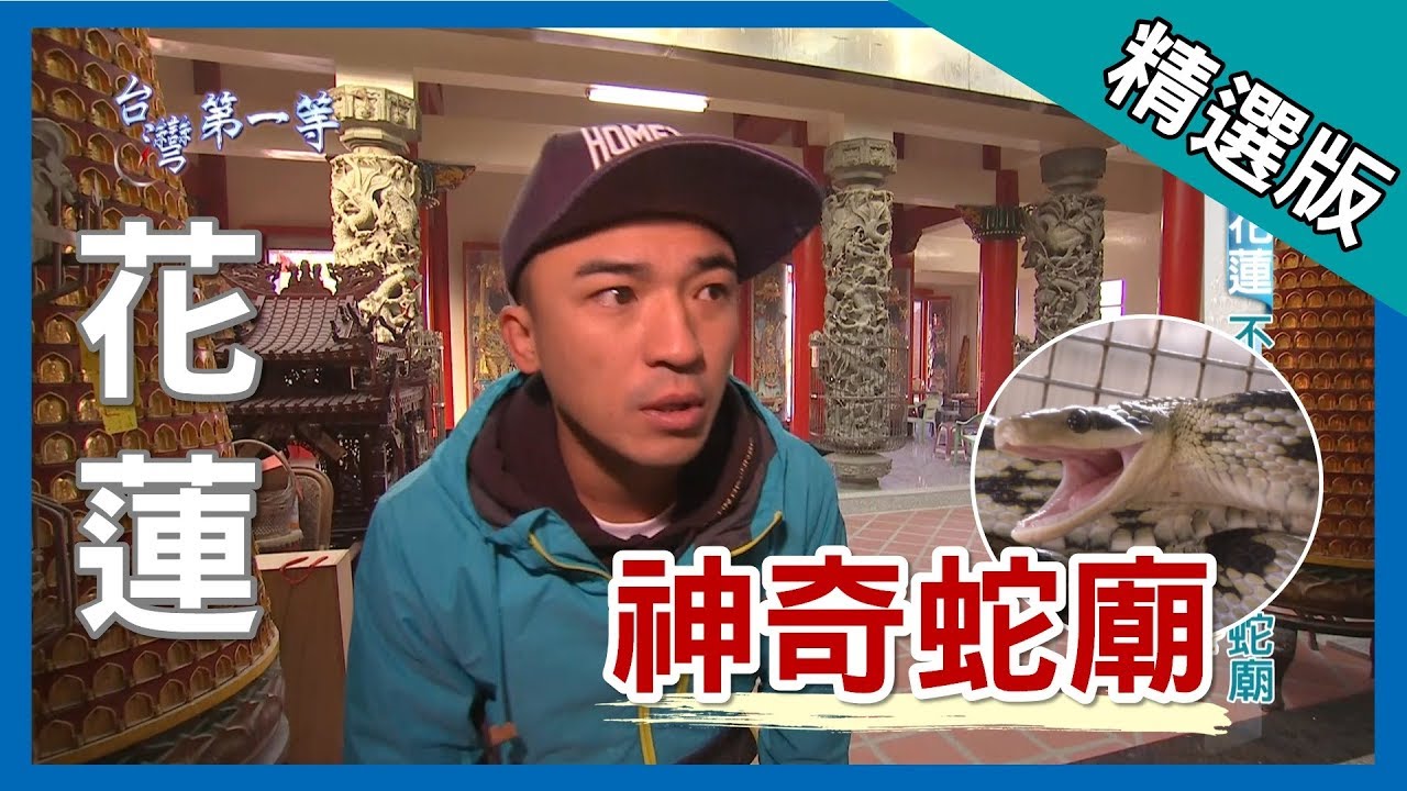 台灣第一等【 不請自來 神奇蛇廟】花蓮 _精選版