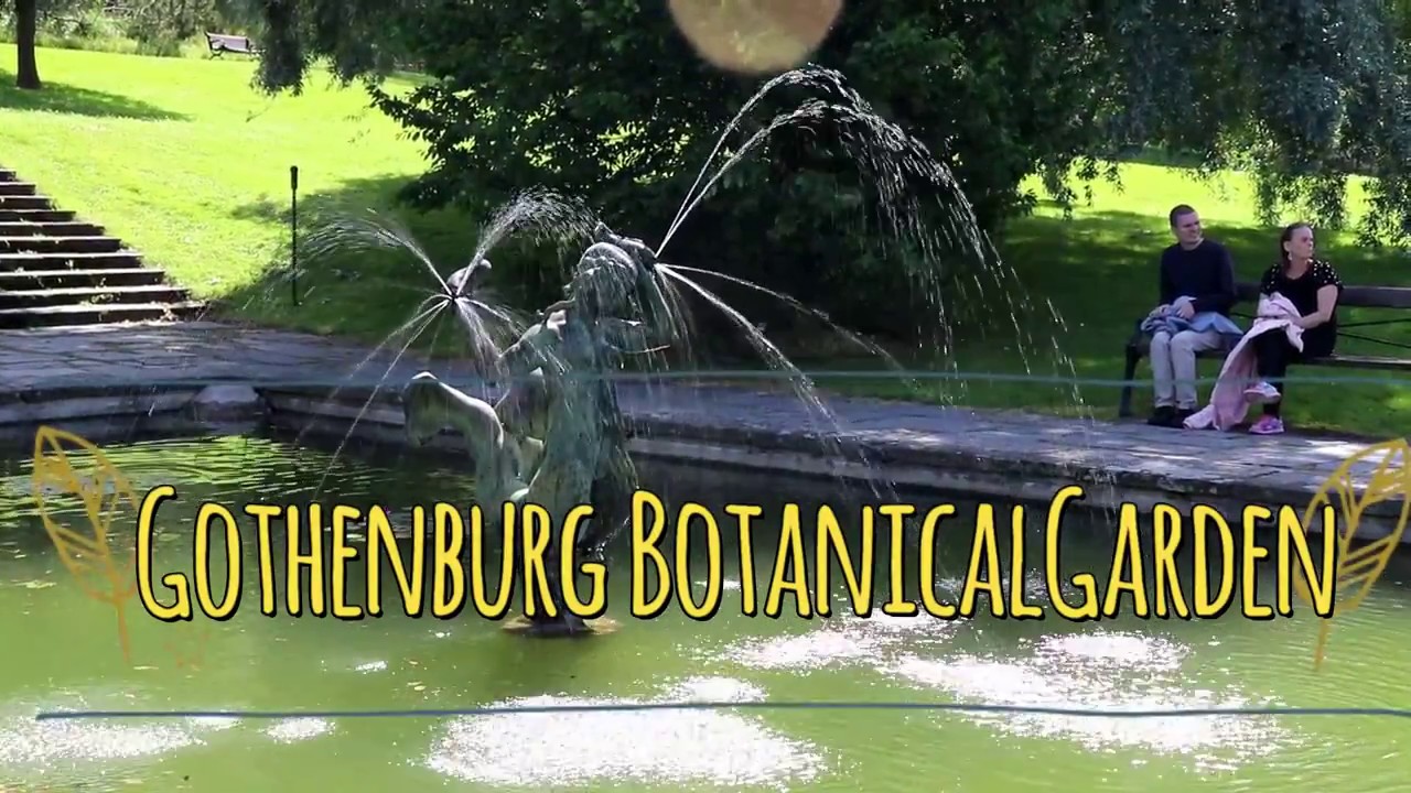 Gothenburg Botanical Garden / Botaniska trädgården Göteborg Sweden