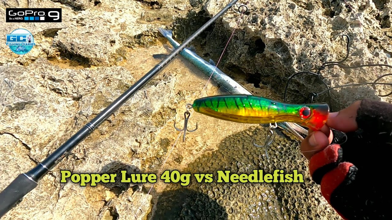 Popper Lure 40g vs Needlefish | La Union 2022 | Medium Heavy Fishing | VID-55 | 12-24-22