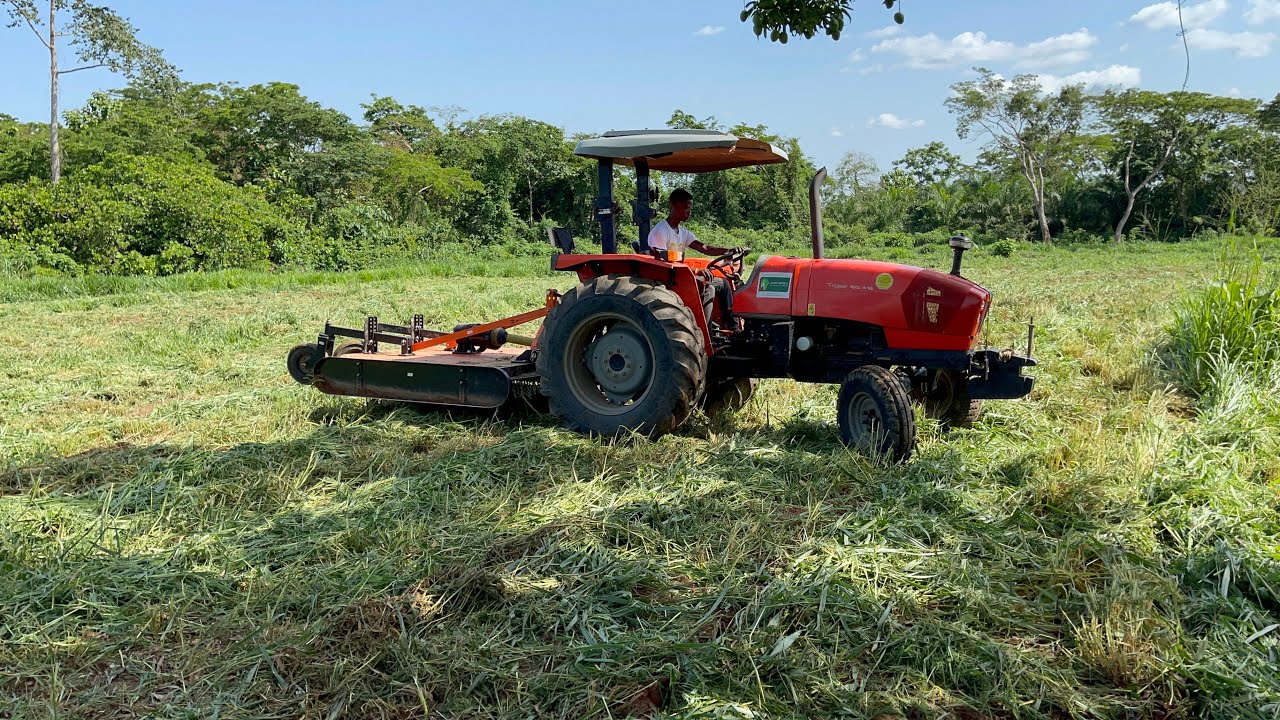 Farming Tools and Equipment You Should Invest in as a Farmer in Africa