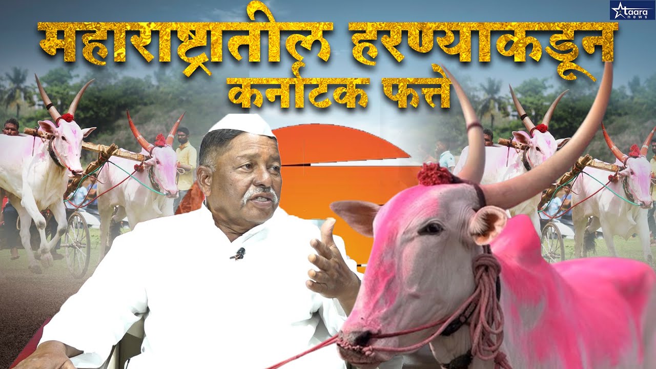 Kolhapur | महाराष्ट्रातील हरण्याकडून  कर्नाटक फत्ते