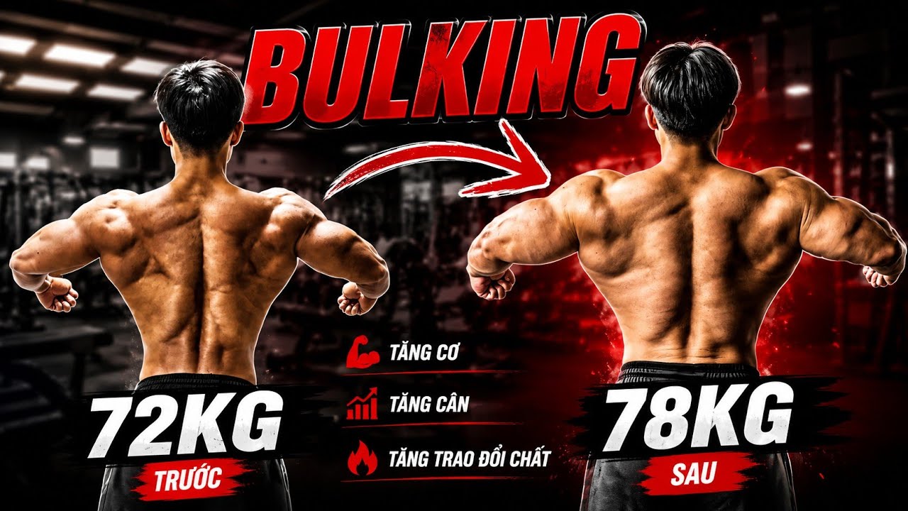 Tất Cả Những Gì Bạn Cần Biết Về BULKING | Thứ 3 OLD-SCHOOL | T3KT