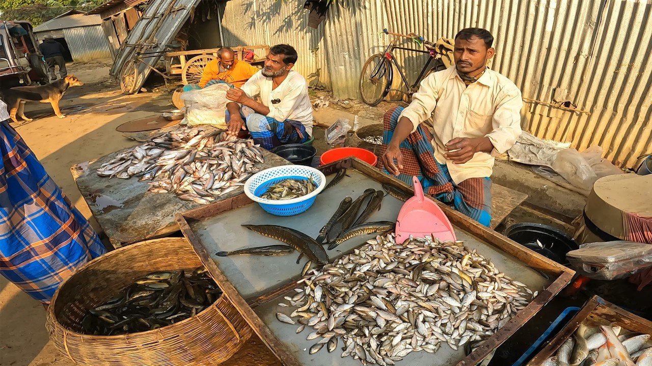 চারিদিকে সবুজে ঘেরা গ্রাম বাংলার সাপ্তাহিক গ্রামীণ হাট। বাঁকাকুড়া বাজার। Bangladeshi Village Market