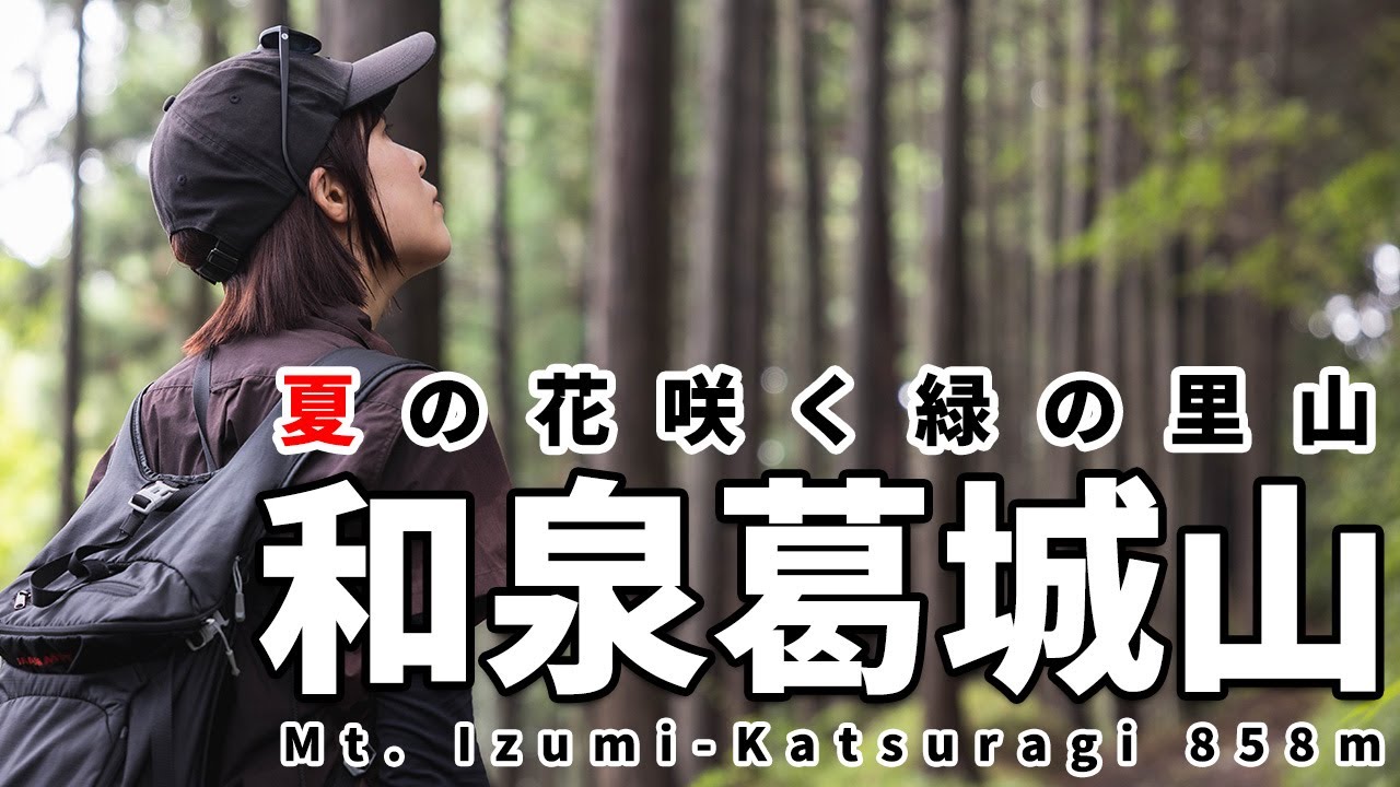 ［夫婦登山］花の咲き誇る梅雨の和泉葛城山～大阪と和歌山にまたがるおすすめ低山～蕎原当山口から歩く初心者向けの日帰りコース！
