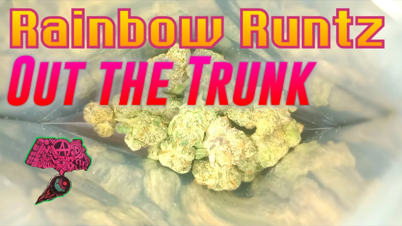 Rainbow Runtz Out the Trunk Cookies California Flower Strain Review 🌈🍬🍊