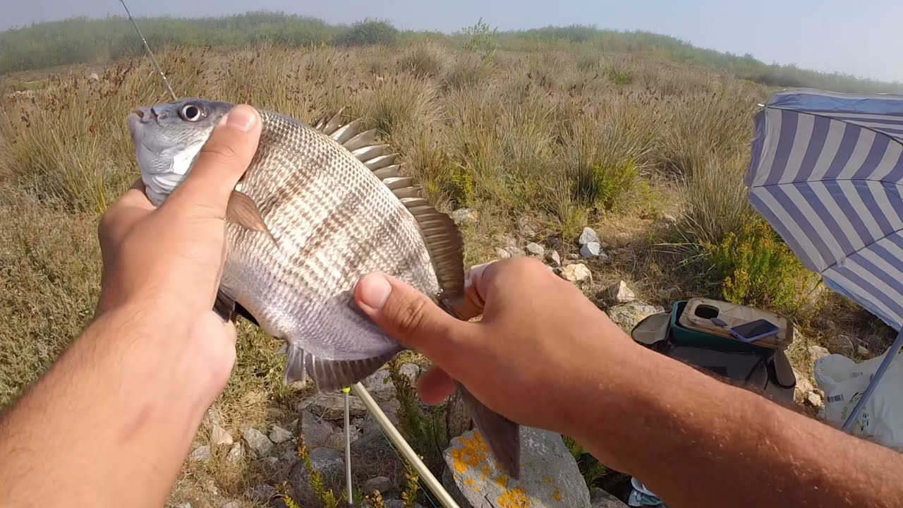 Dia tranquilo de pesca na Casinha em São Jacinto!