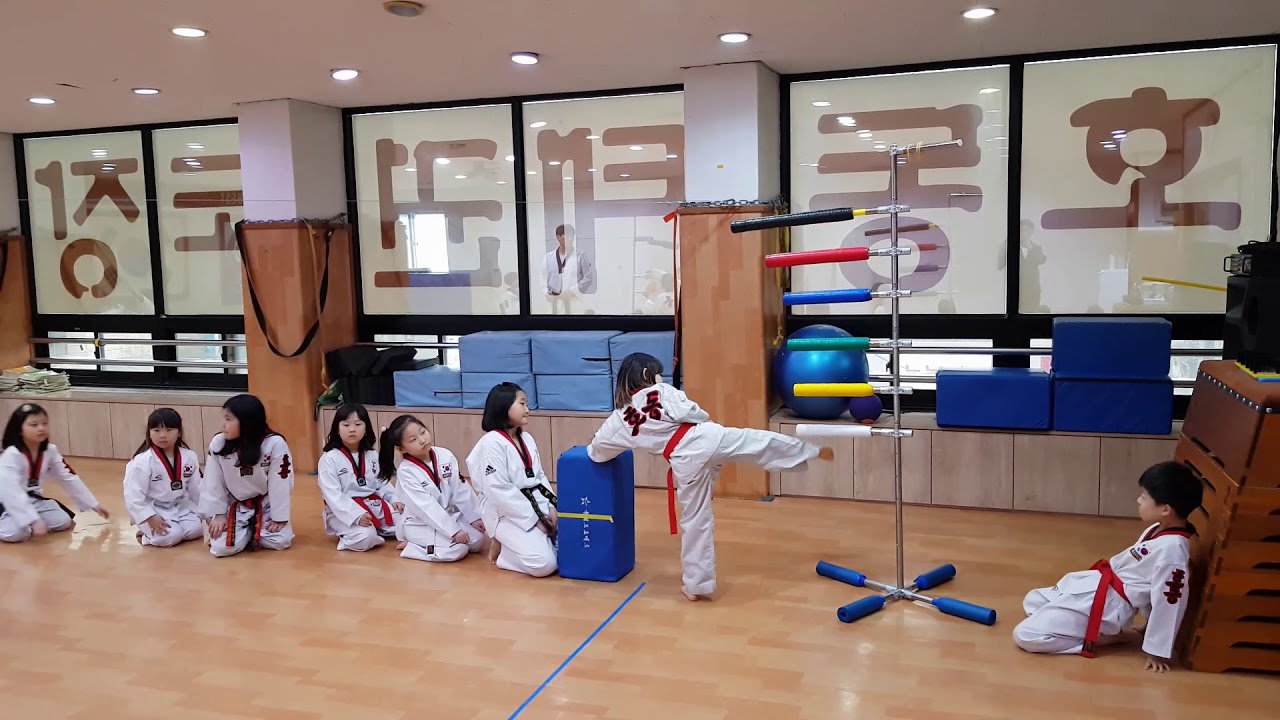 TATOOL 호동태권도 도구순환수련  TAEKWONDO
