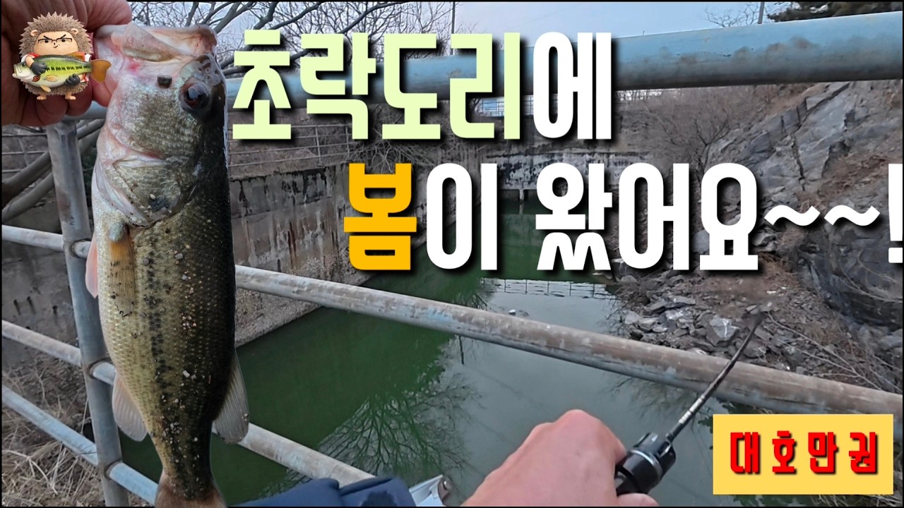 🦔 [포인트공개] UL대로 살치만 잡고 끝나는줄 알았지만.. 대물배스가.. [ft.대호만권 ] ep. 26-04