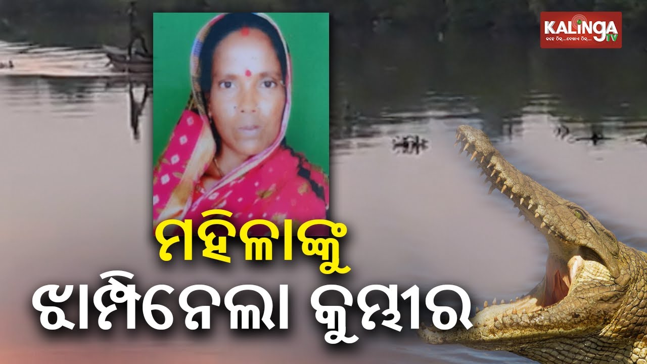 Kendrapara: Crocodile attacks and kills Woman while grazing animals | Kalinga TV 