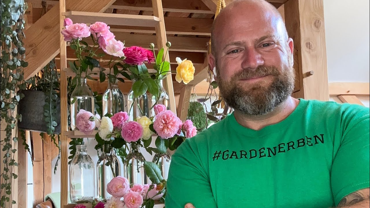Мой новый топ-20 самых рекомендуемых роз @david_austin_roses #gardenerben