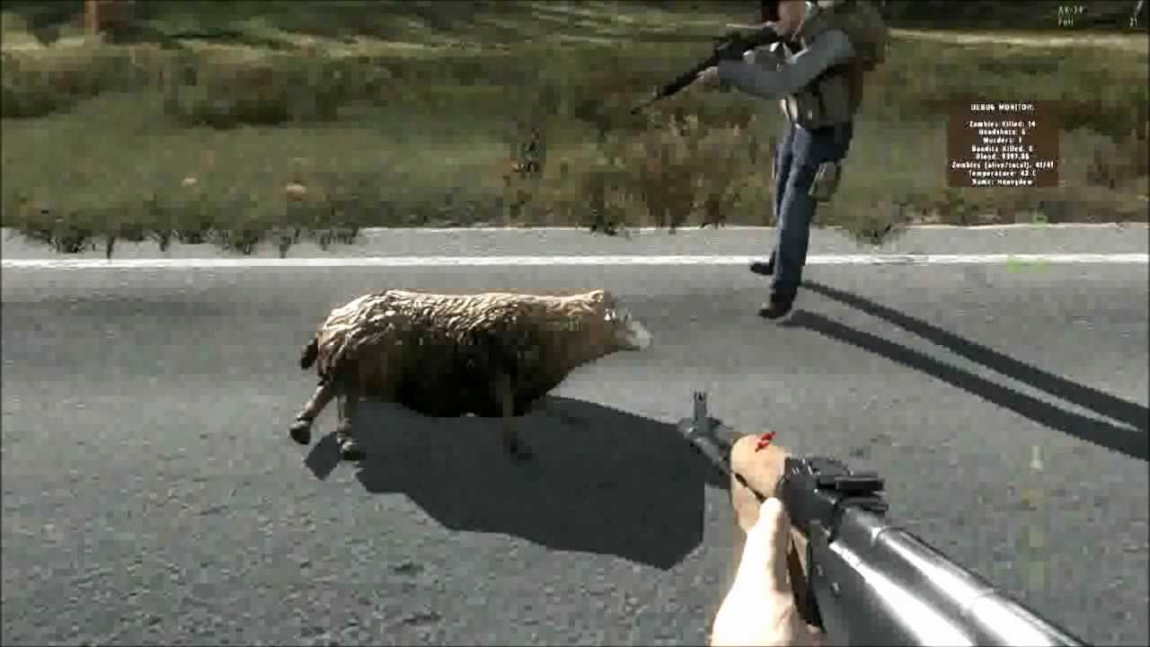 Day Z - Sinking sheep
