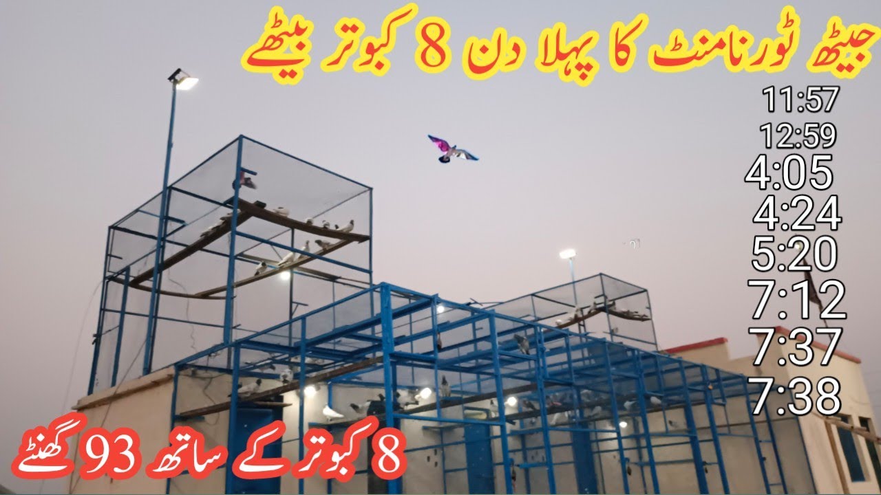 25 May 2022 Jeath Kabootar Bazi Ka 1st Day 3 Kabootar Nhi Beatha