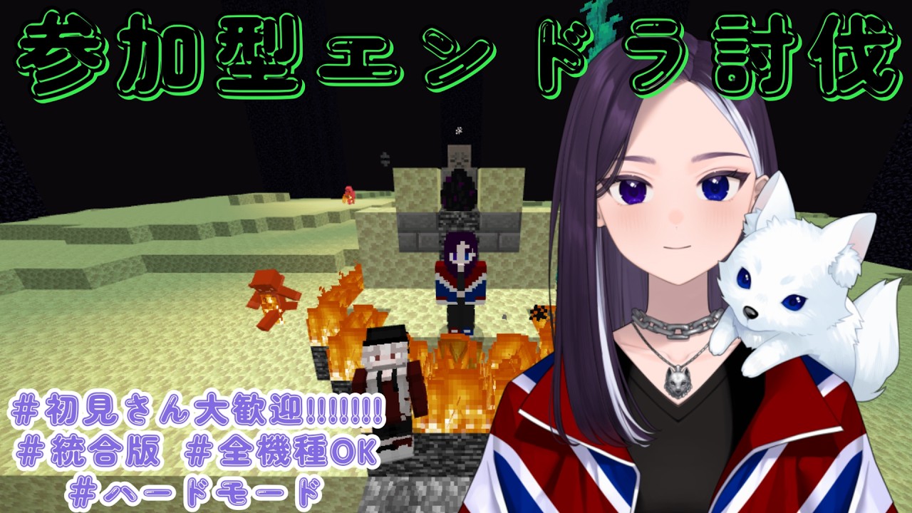 【参加型】エンドラ討伐行きますよね？？ #初見さん大歓迎  #マイクラ 【LiccaLin/#VTuber】
