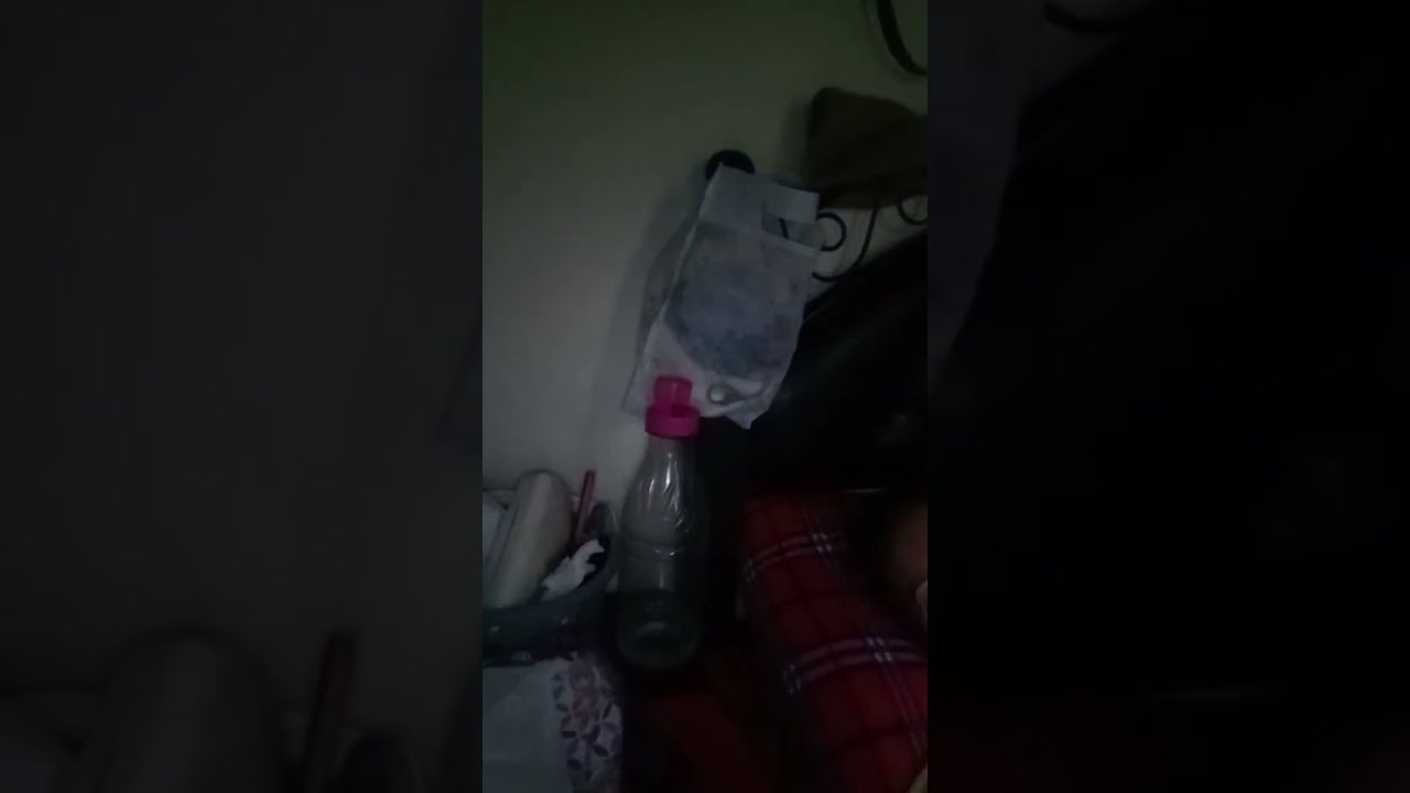 بدأت قناة 