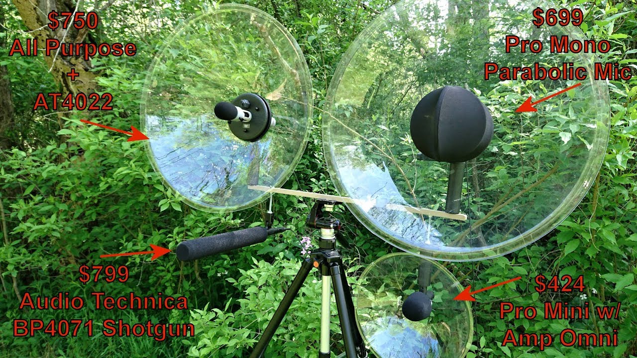 Microphone Comparison - Shotgun  versus 3 Parabolic Microphones