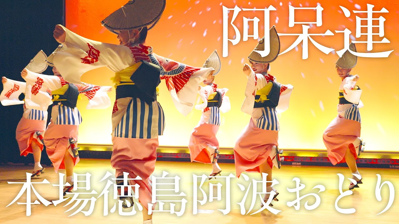 【阿波踊り】超満員の会館が沸いた！みんな大好き阿呆連の圧巻ステージ | Awaodori in Tokushima, Japan