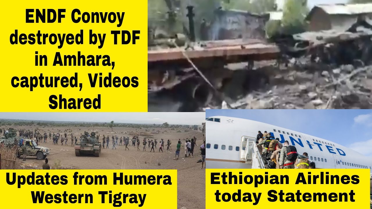 TDF | ENDF Covoy | Humera Western Tigray | Amhara