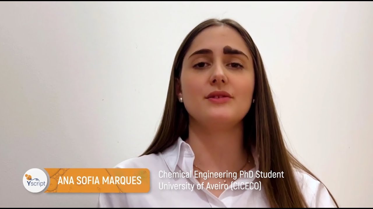 Ana Sofia Marques About Her Work in Yscript
