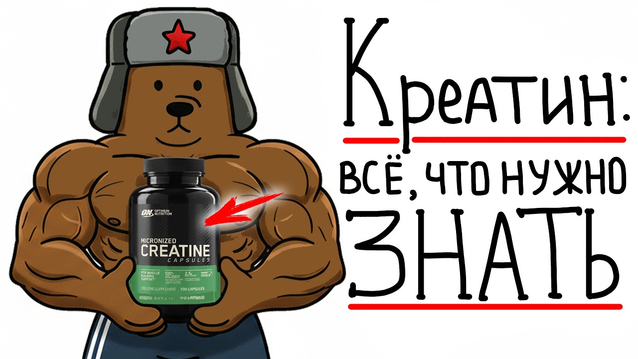 Креатин: Всё, Что НУЖНО ЗНАТЬ!