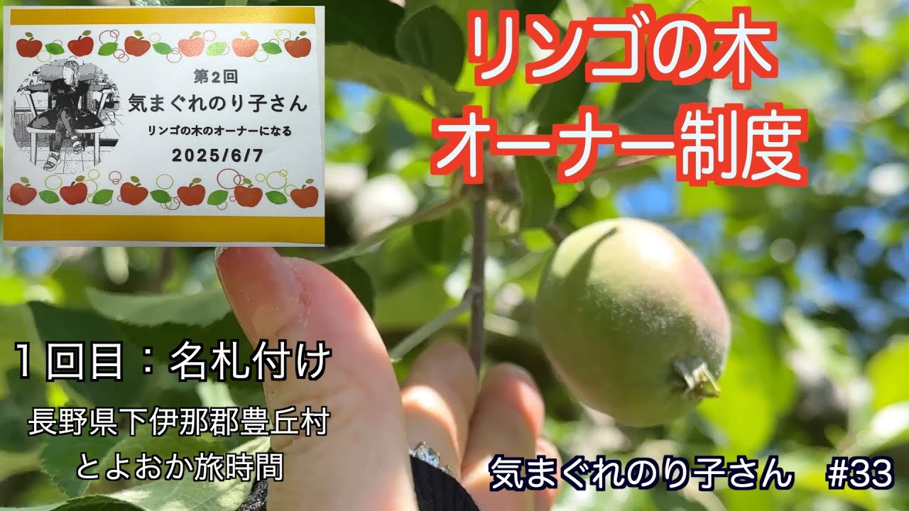 第２回【リンゴの木オーナー制度 】名札付け　収穫が待ち遠しい🍎
