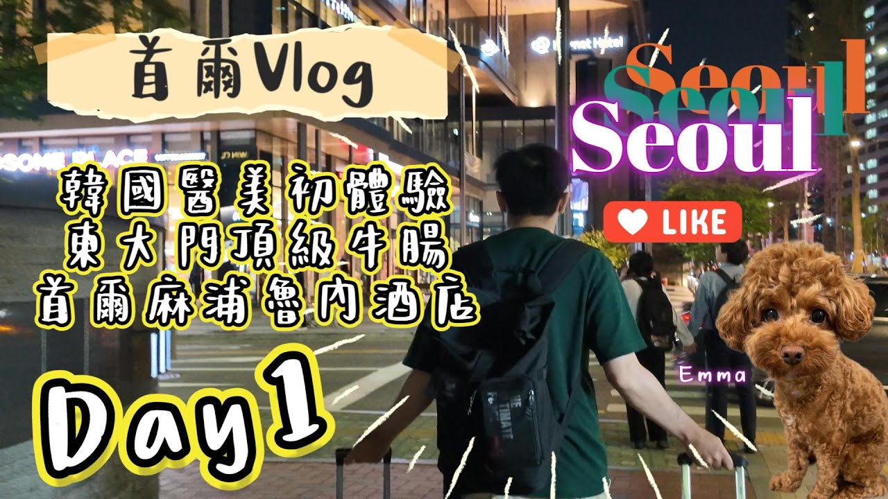 ﹝首爾Vlog ➁ EP1﹞東大門深夜烤腸真的好好吃！江南醫美超溫柔｜首爾麻浦魯內酒店｜江南皮膚科  ｜gs25 ｜機場巴士