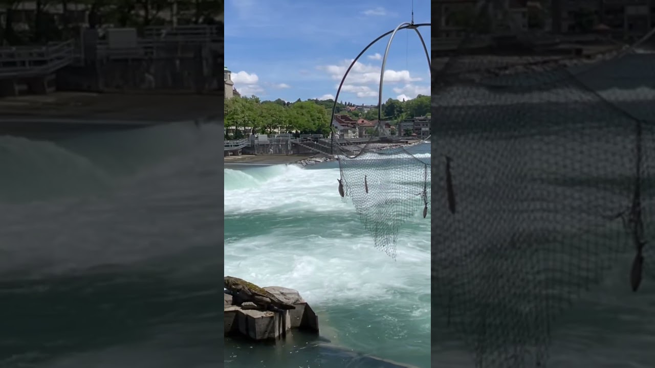 #alpine #switzerland #bern #alpler #switzerlandtravelvlog