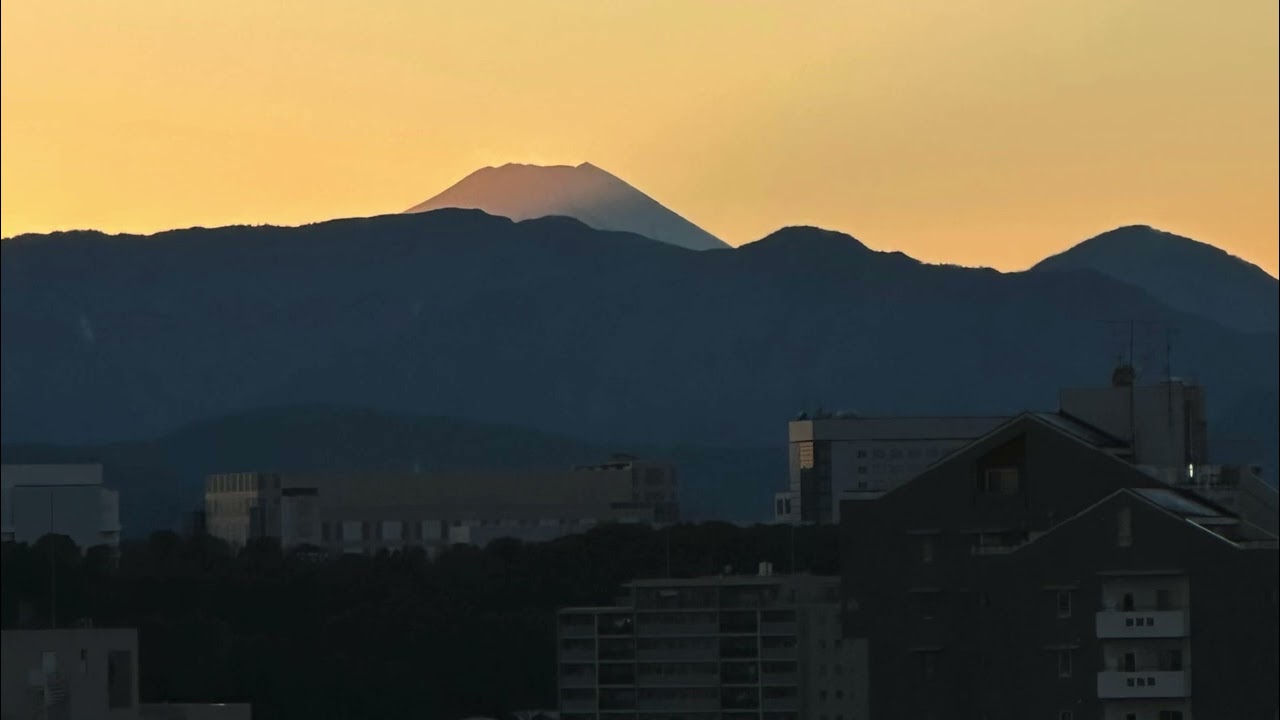 君は愛されるため生まれた