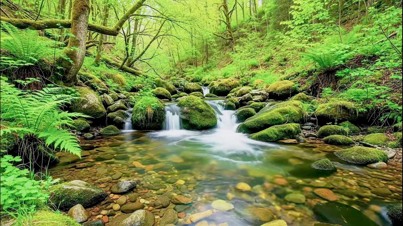 Gentle River Sound for Deep Sleep | Soothing Audio Therapy for Mental Wellness