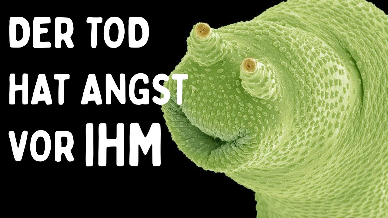 Die unmöglichsten Tiere die je entdeckt wurden