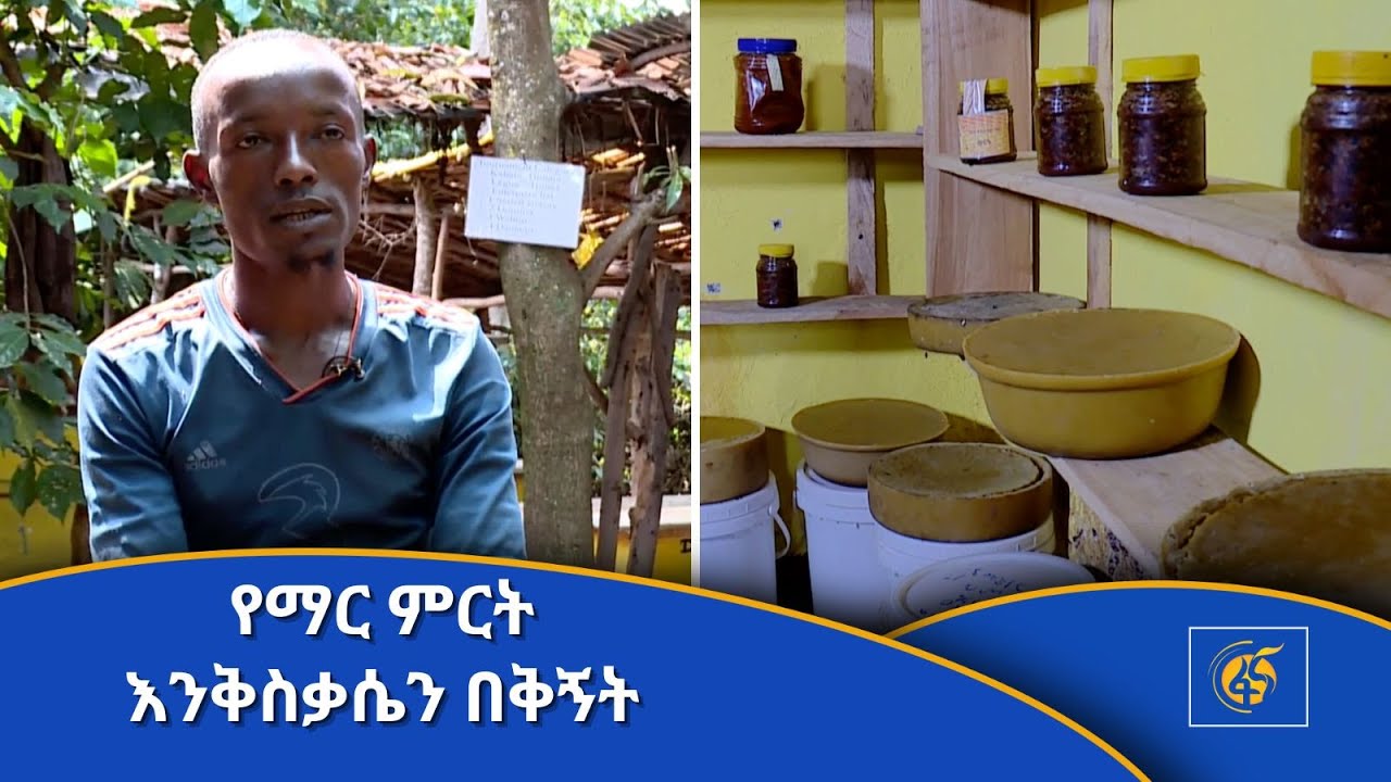 የማር ምርት እንቅስቃሴን በቅኝት