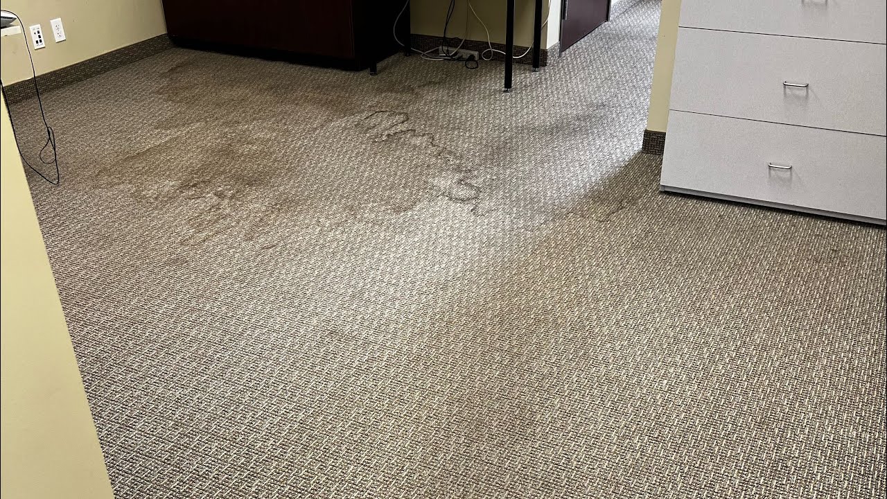 Commercial Carpet Cleaning Using Trinity Phoenix OP Machine
