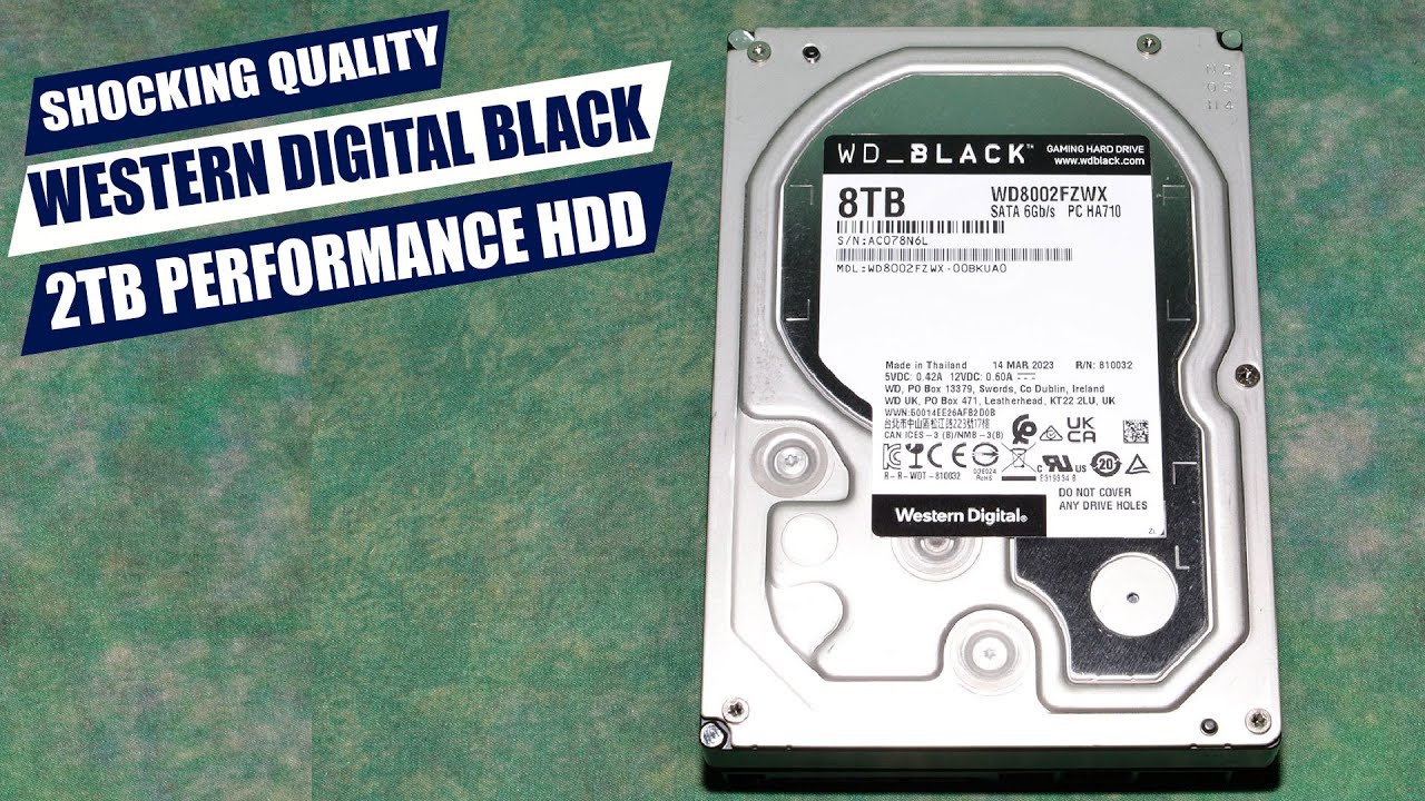 Обзор высокопроизводительного жесткого диска Western Digital Black 2TB: по-прежнему лучший для пр...
