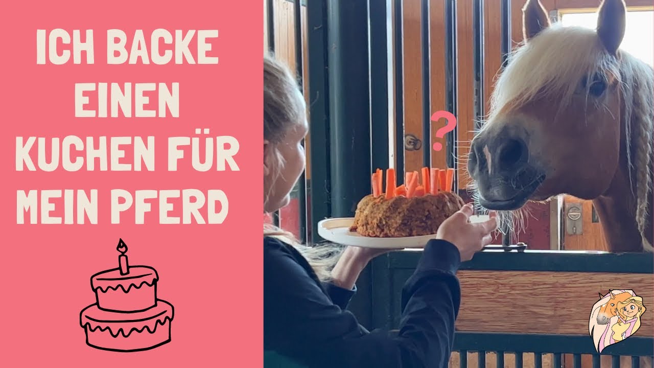 Ich backe einen KUCHEN für mein PFERD ! PFERDEGEBURTSTAG | Anja Fee