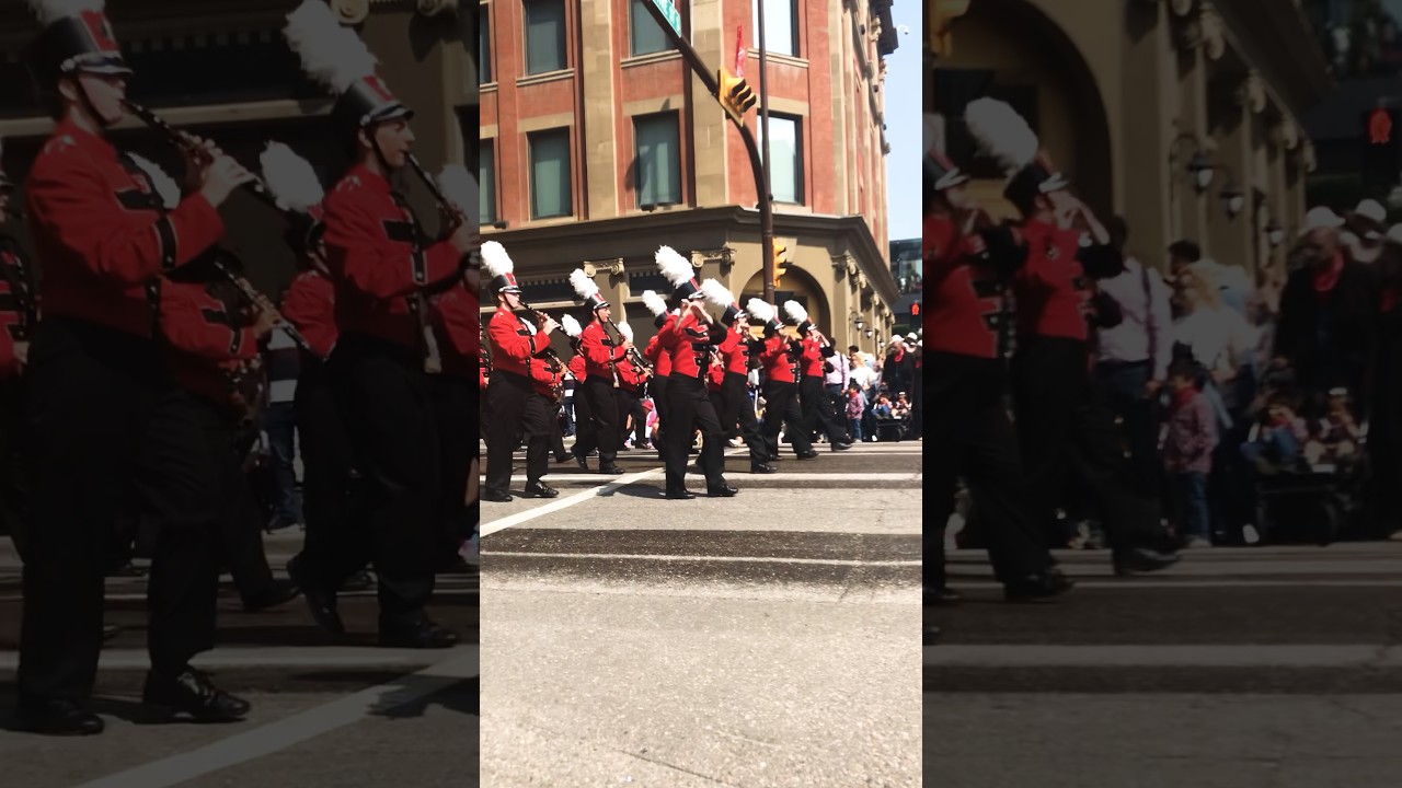 Calgary Stampede Parade BAND Amazing #shorts #parade #calgary #band