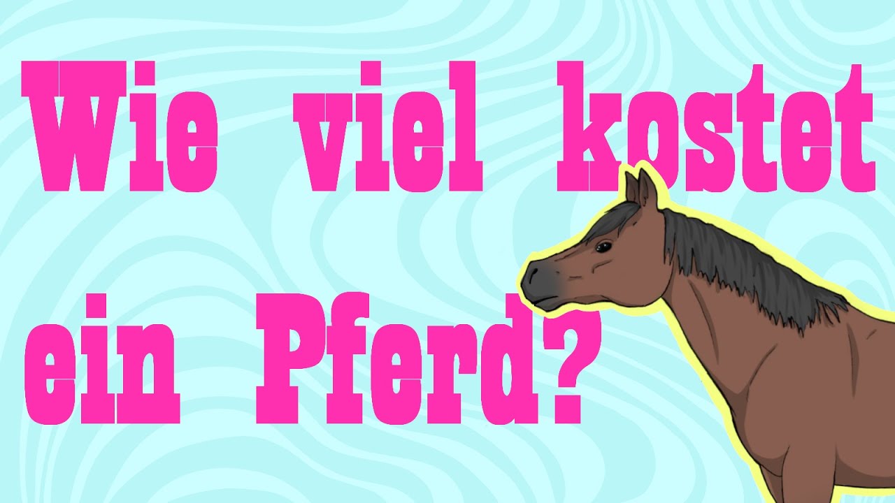 Wie viel kostet ein Pferd? – Kauf und Haltung im Durchschnitt