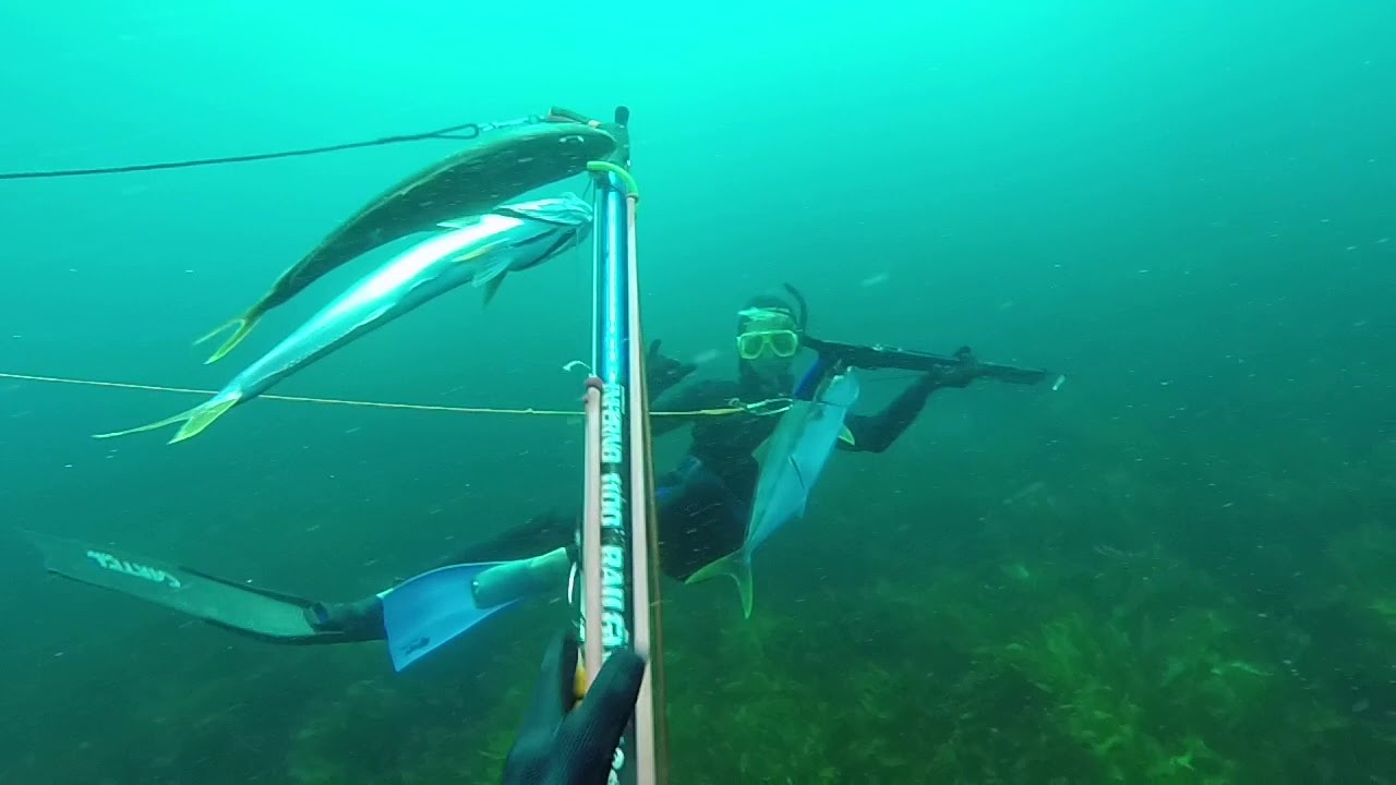 Spearfishing Maroubra Vol  1