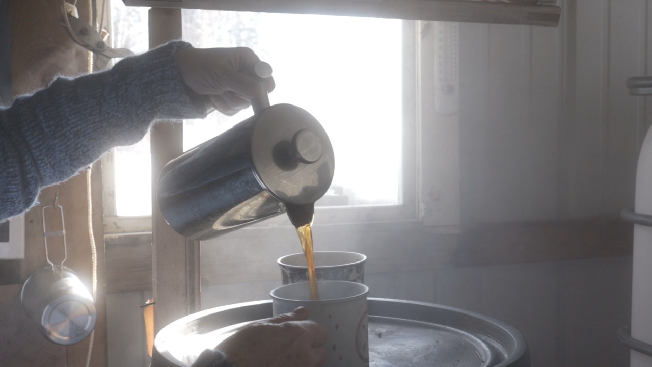Maple Syrup Season Begins | Field, Farm & Forest