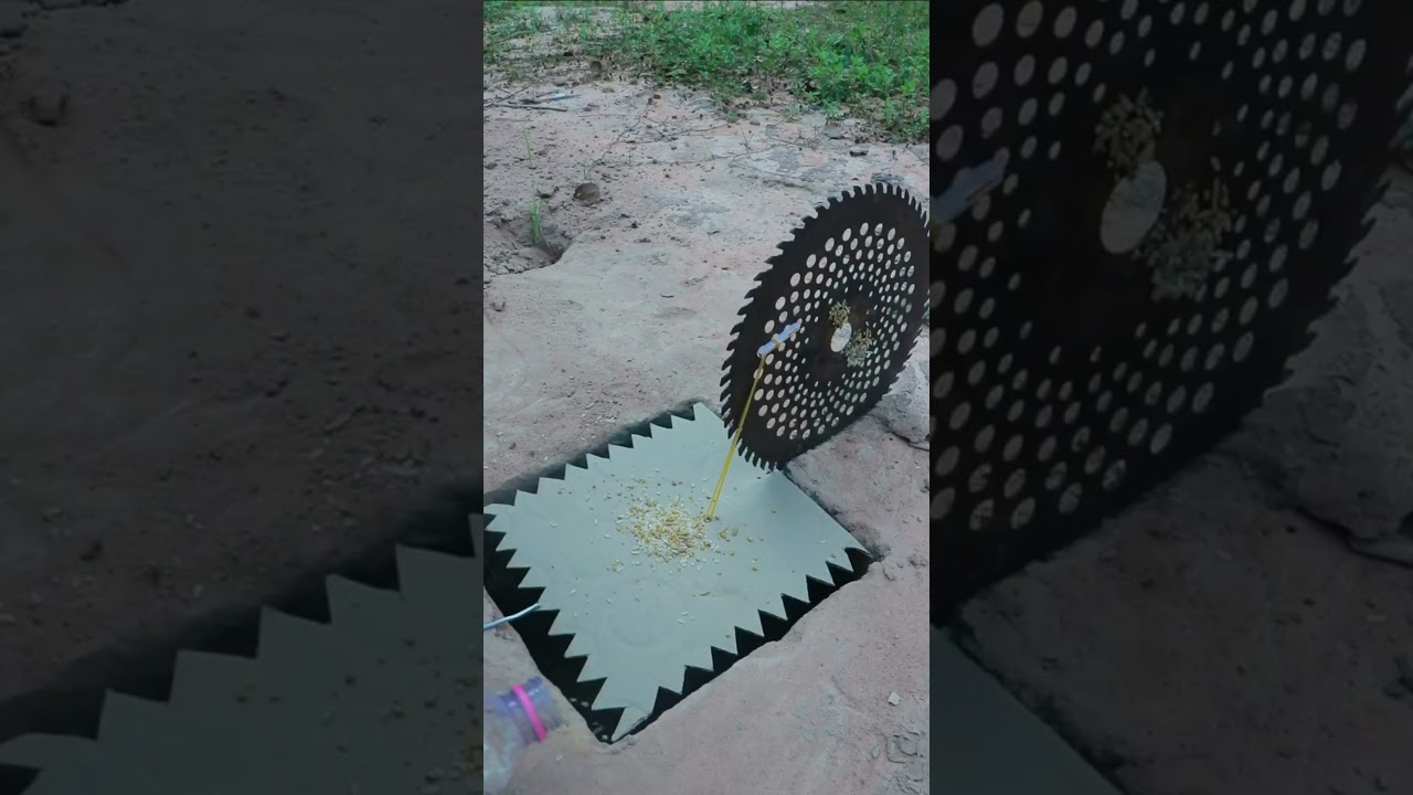 Creative Bird & Chicken Trap #Outdoor #Traps #Wilderness #animals