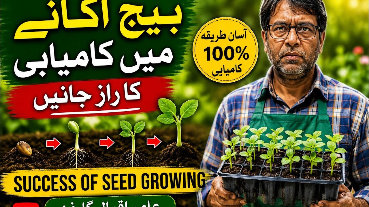 Success of seed growing 23-12-2025