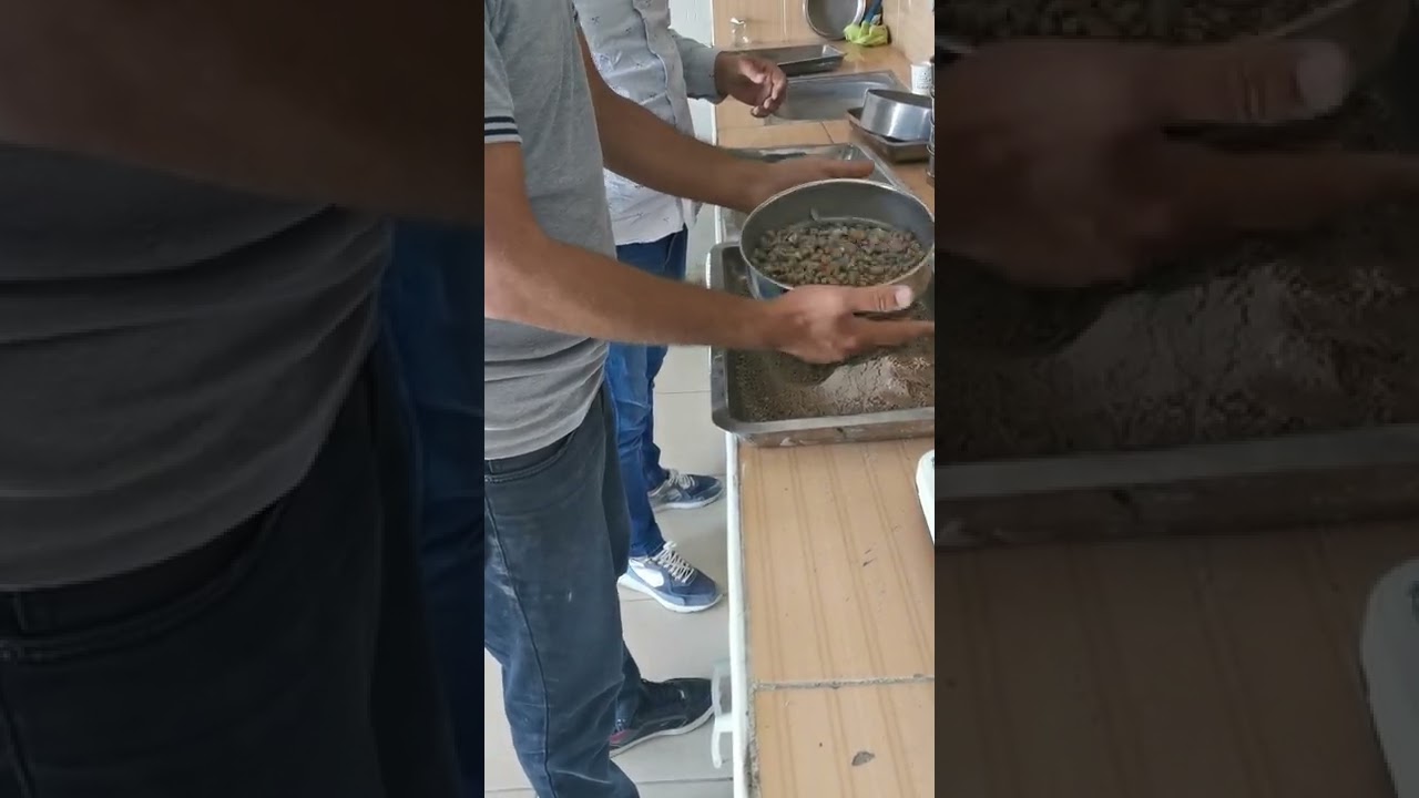 ELEK ANALİZİ DENEYİ 1.