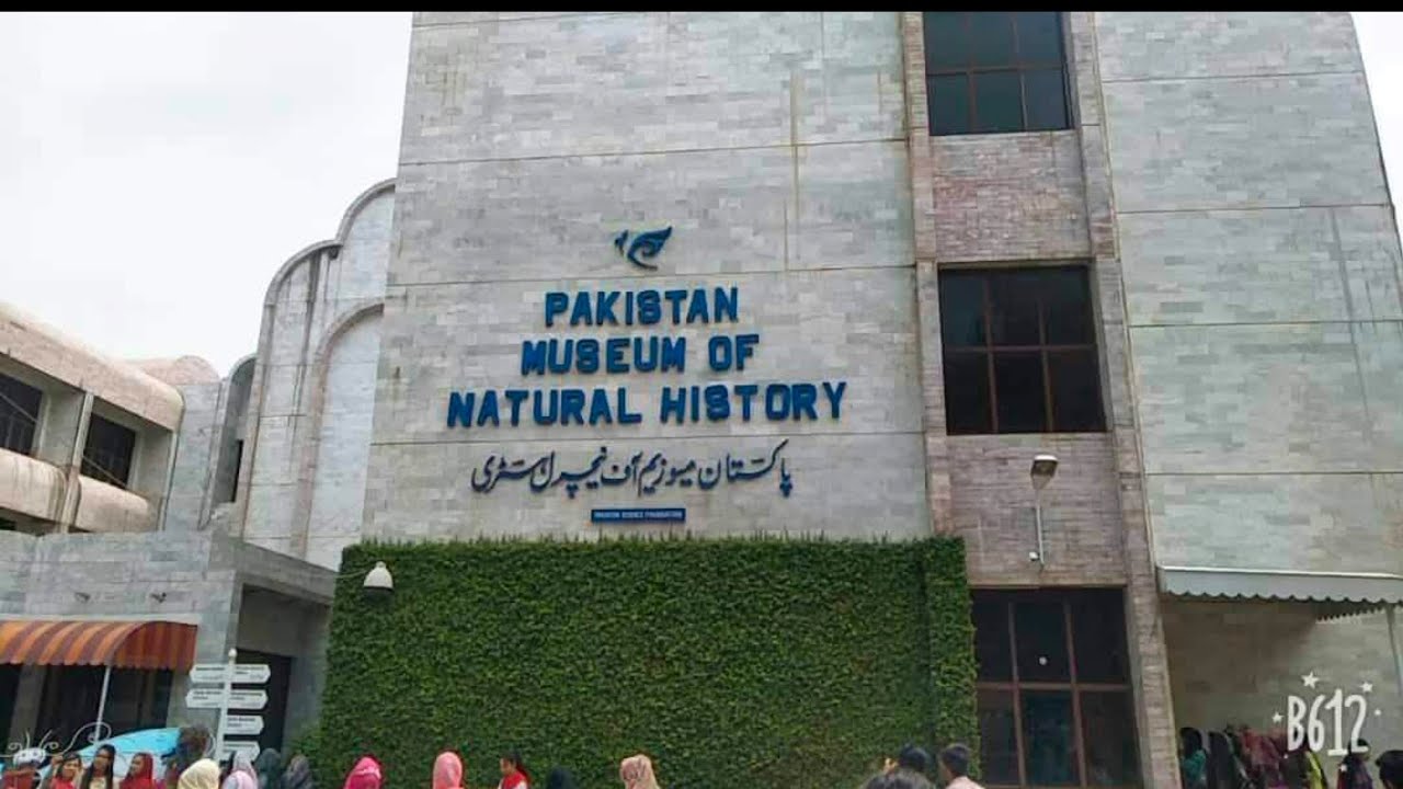 |Pakistan museum| of Natural histoty islamabad| inshoo vlog|