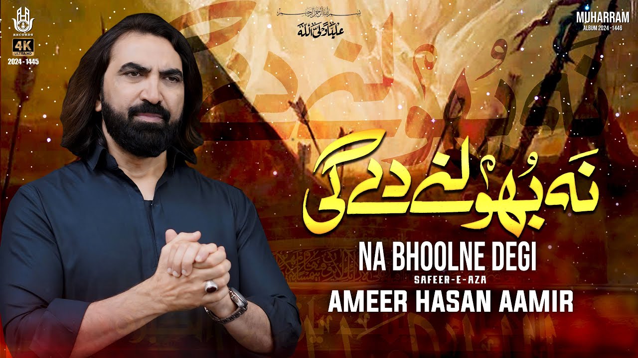 Nohay 2024 | Na Bhool Ne Degi | Ameer Hasan Aamir Noha 2024 | Noha Shehzadi Zainab (s.a)