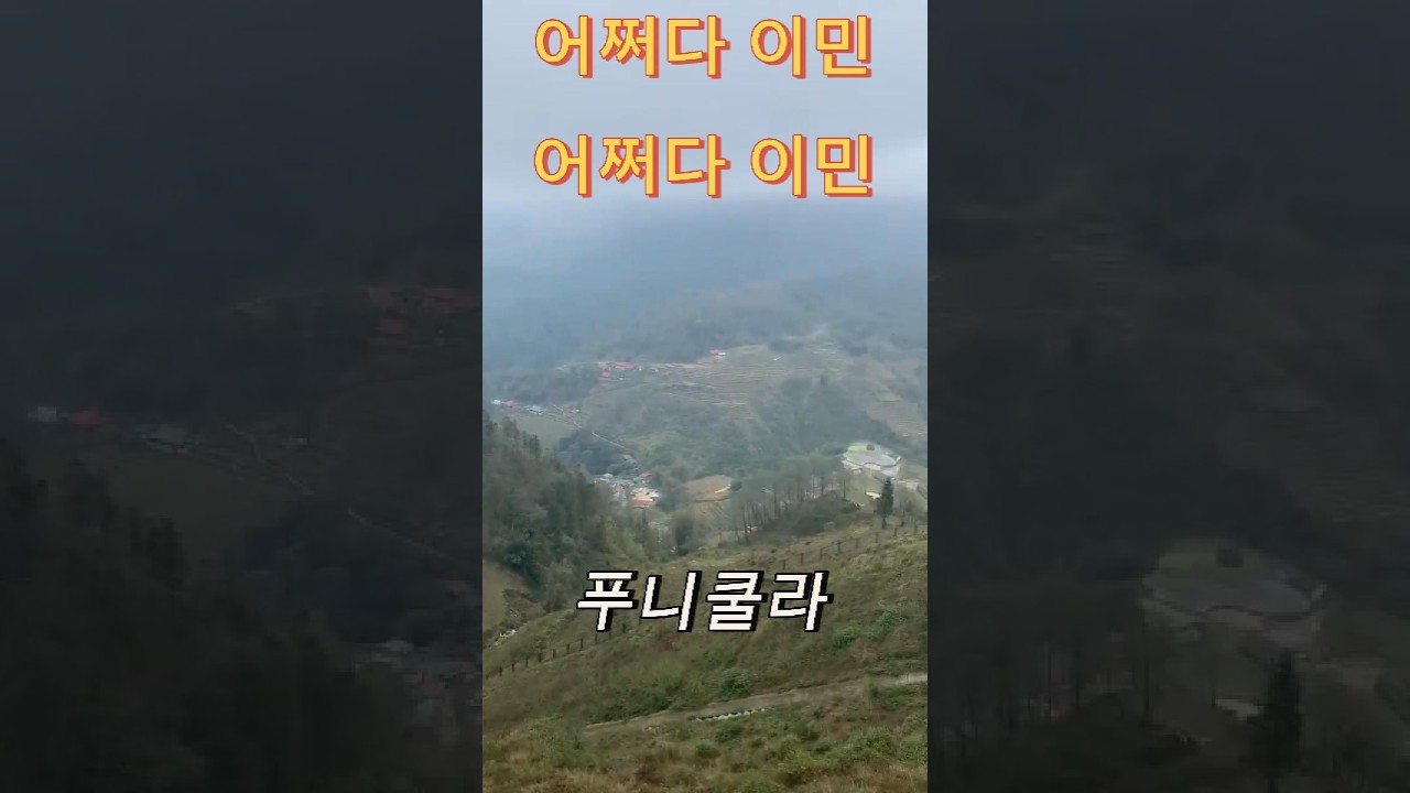 사파 푸니쿨라 일인칭 시점