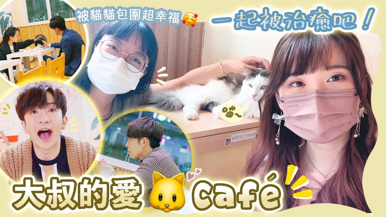 【大叔的愛貓Café】被貓咪包圍！ 讓可愛🐱治癒你的心靈吧💖 嘗試尋找牧牧的座位結果是⋯｜HALO RINKA #MIRROR #ANSONLO #EDAN #大叔的愛 #貓之茶房