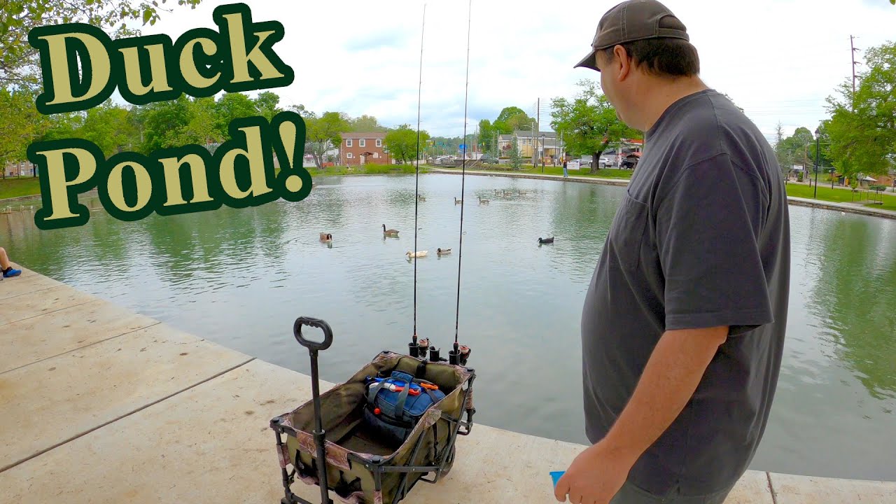 Fishing In City Duck Pond With BIG Red Worms!!!